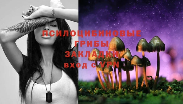 гашик Алзамай