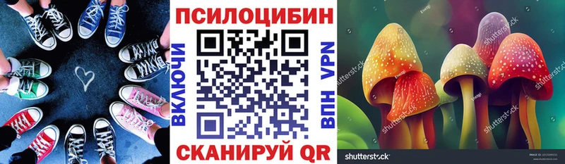 наркотики Ефремов Псилоцибиновые грибы MAGIC MUSHROOMS